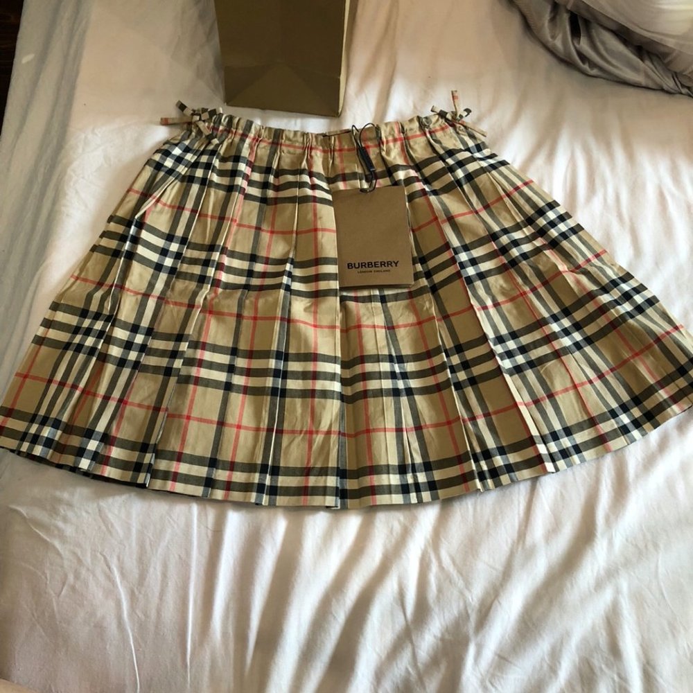 Burberry skirt